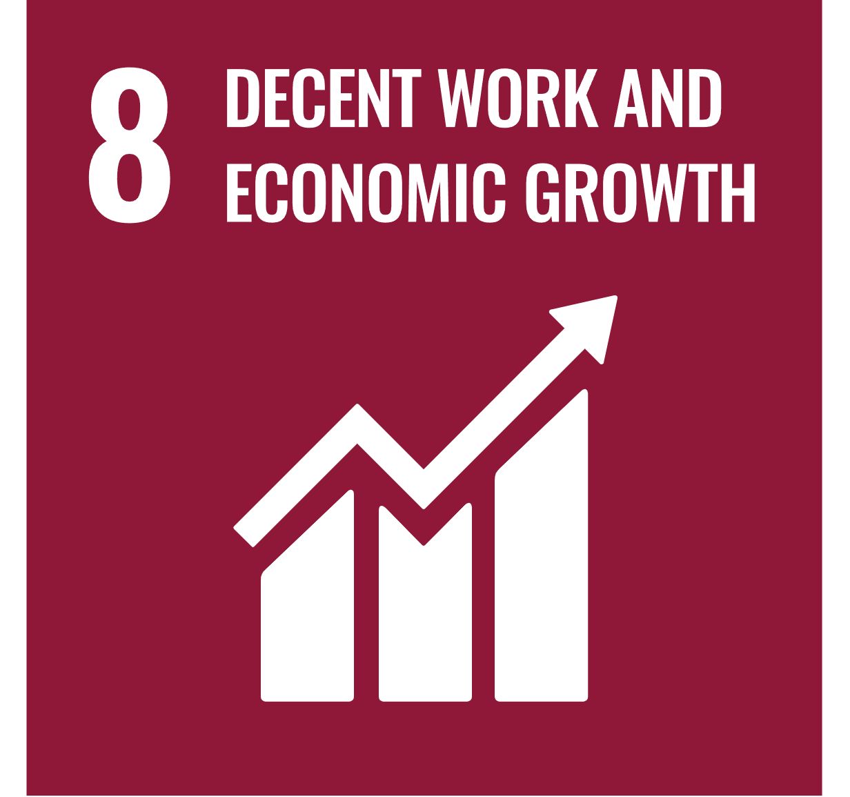 SDG 8 Decent Work and Economic Growth